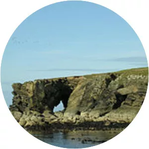 Holm of Faray - Island in Scotland