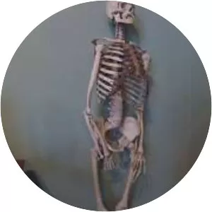 Holmes Medical Museum - 