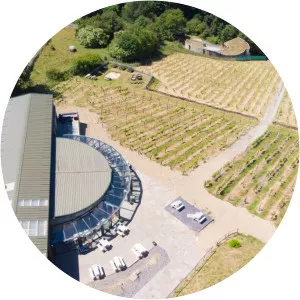 Holmfirth Vineyard - 