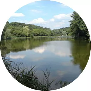 Holosiivs'ki Stavky - Lake in Ukraine