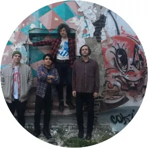 Holy Tunics - Musical artist