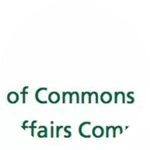 Home Affairs Select Committee