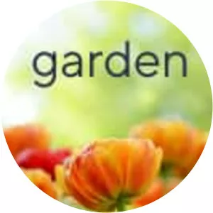 Home & Garden Update - TV program