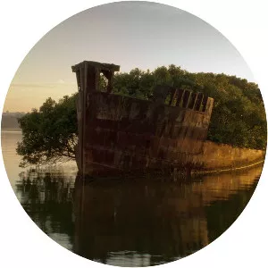 Homebush Bay or The Flats - Bay in Australia
