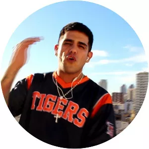 Homer El Mero Mero - Musical artist