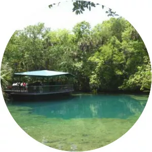 Homosassa Springs - Census-designated place in Florida