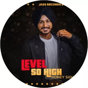 honey sidhu - Musical artist