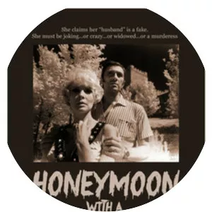 Honeymoon with a Stranger