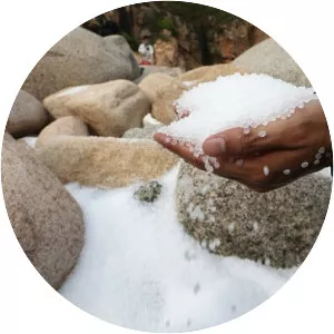 Hong Kong plastic disaster - 