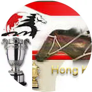 Hong Kong Vase - 