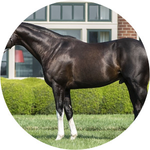 Honor A. P. photograph