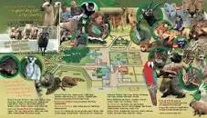Hoo Farm Animal Kingdom - 