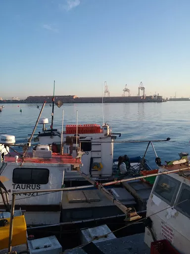 Hooke Sea Products  - Fishing store in Port Elizabeth, South Africa