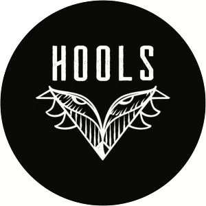 Hools - Musical artist