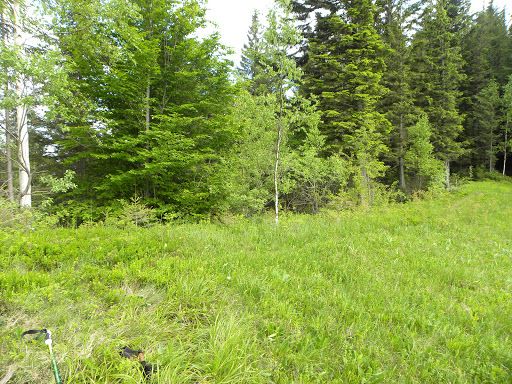 Hora Kruhlyy Yavirnyk - Observation deck in Ukraine