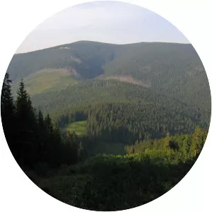 Horhan-Ilemsʹkyy - Mountain in Ukraine