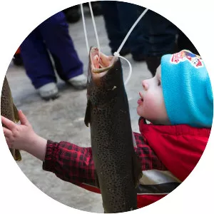 Horne Pond - Pond in Maine