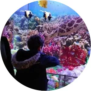 Horniman Museum and Gardens