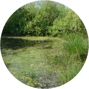 Hornomoravský Úval - 