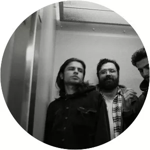 Horse Jumper of Love