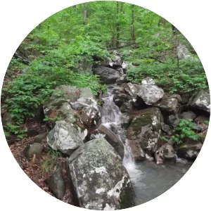 Horse Thief Springs - Spring in Oklahoma