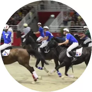 Horseball