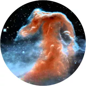 Horsehead Nebula - 