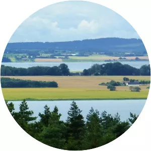 Horsens Fjord