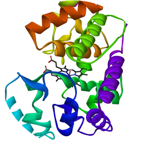 Horseradish peroxidase - 