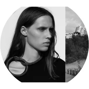 Horst Diekgerdes - Musical artist