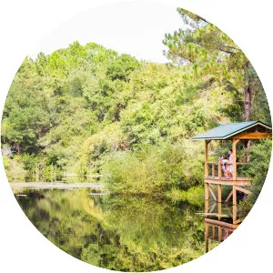 Horton Pond - Pond in Georgia