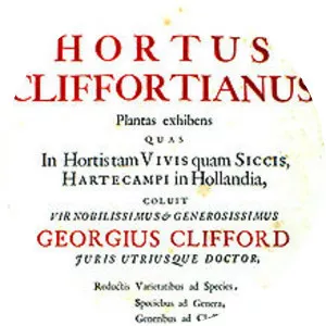 Hortus Cliffortianus