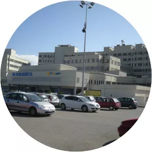 Hospital Son Dureta