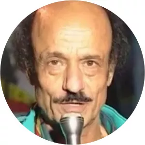 Hossam El Din Mostafa