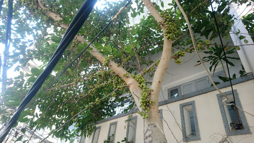 Hostel Duc Tung - Guest house in Vung Tau, Vietnam