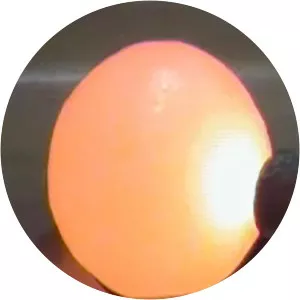 Hot Nickel Ball - Musical artist