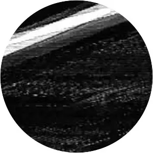 Hound Scales - Musical artist