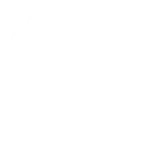 House Committee on Rules - Legislative committee