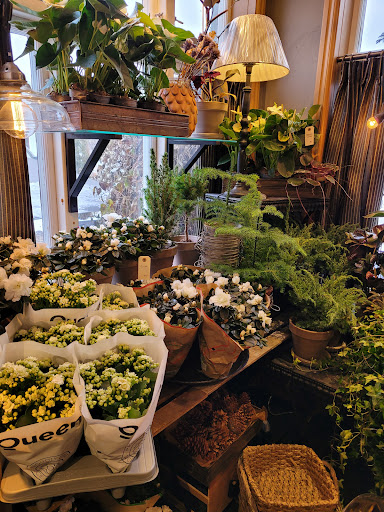 House Of Eden photograph