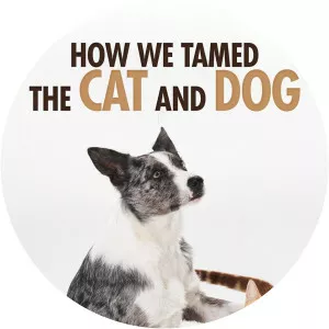 How We Tamed the Cat and Dog2020