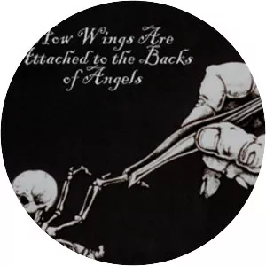 How Wings Are Attached to the Backs of Angels