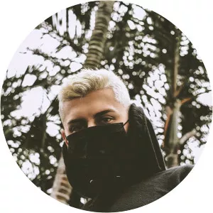 HRTBRKFEVER - Musical artist