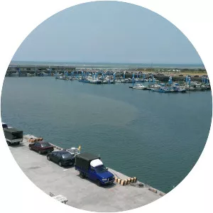 Hsinchu Fish Harbor - 