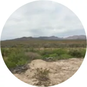 Hudspeth County - County in Texas