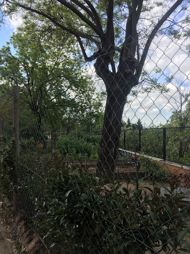 Huerto de la Cornisa - Orchard in Madrid, Spain