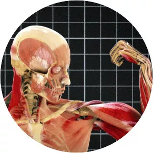 Human Body: Pushing the Limits