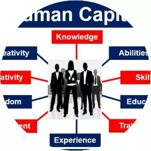Human capital