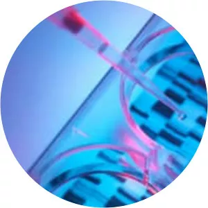 Human Genome Project - 