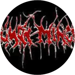 Human Mincer - Musical group