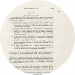 Human Rights Act 1998 - Book by Alastair N Brown